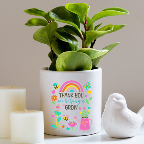 Thank you For Helping Me Grow Pot Plant Brigh Colours